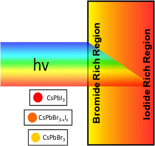 Temperature-driven anion migration in gradient halide perovskites